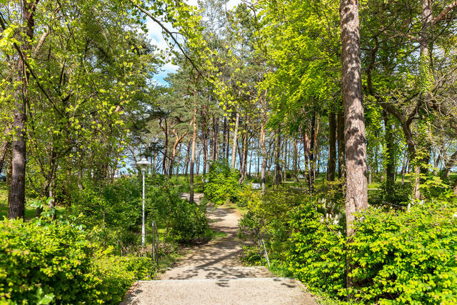 Ferienwohnung in Baabe - Ferienwohnung 15 "Jasmund" - Bild 23