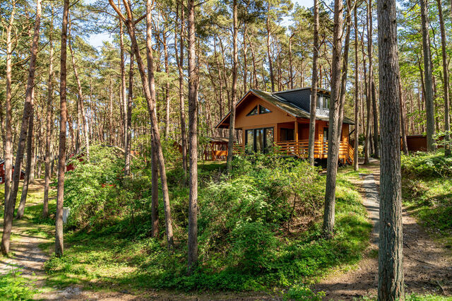 Ferienwohnung in Baabe - Ferienhaus Wald & Meer - Bade- & Saunawelt t&auml;glich inklusive - Bild 2