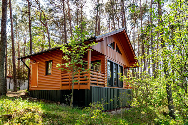 Ferienwohnung in Baabe - Ferienhaus Wald & Meer - Bade- & Saunawelt t&auml;glich inklusive - Bild 20