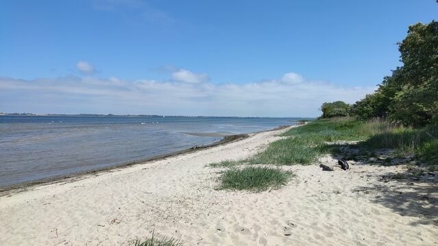 Ferienhaus in Zierow - Reethaus "Aquata" - Bild 20