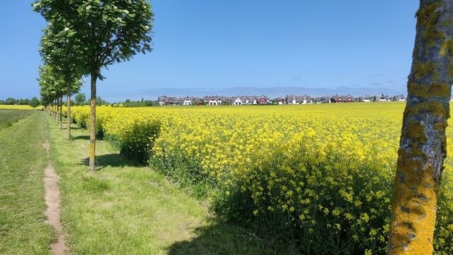 Ferienhaus in Zierow - Reethaus "Aquata" - Bild 23