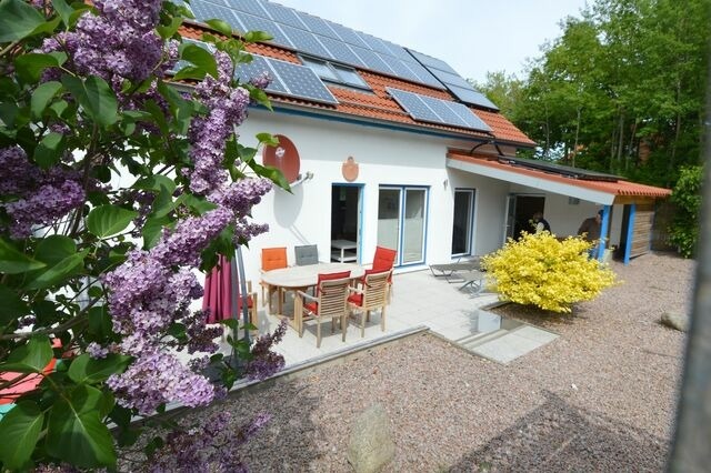 Ferienwohnung in Heiligenhafen - Gode Stuv 2 - Bild 14