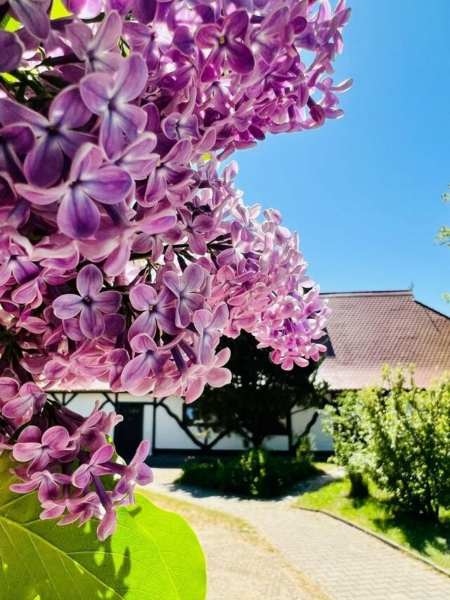 Ferienwohnung in Middelhagen - Ferienwohnung "Zur Rebe" - Bild 14