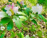 Ferienwohnung in Mariendorf - Naturidyll Mariendorf - Ferienwohnung Schafberg - Bild 17