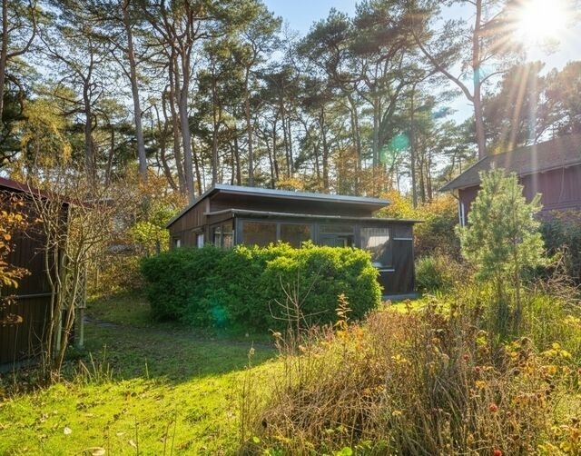 Ferienhaus in Baabe - Ferienhaus am Strand 88 - Bild 8