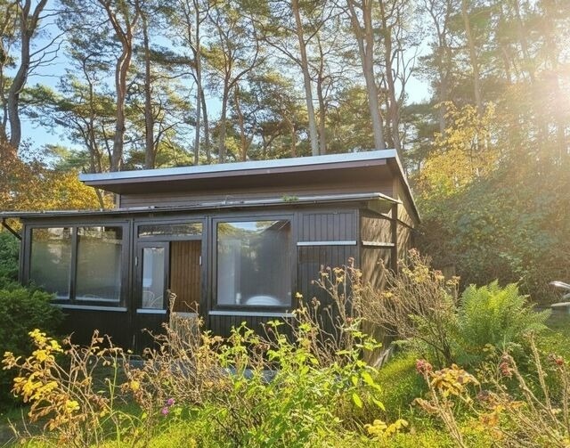 Ferienhaus in Baabe - Ferienhaus am Strand 88 - Bild 9