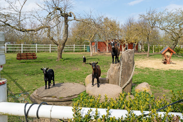 Ferienwohnung in Klaustorf - G&auml;stehaus am Hengstkamp Ankerplatz - Bild 24