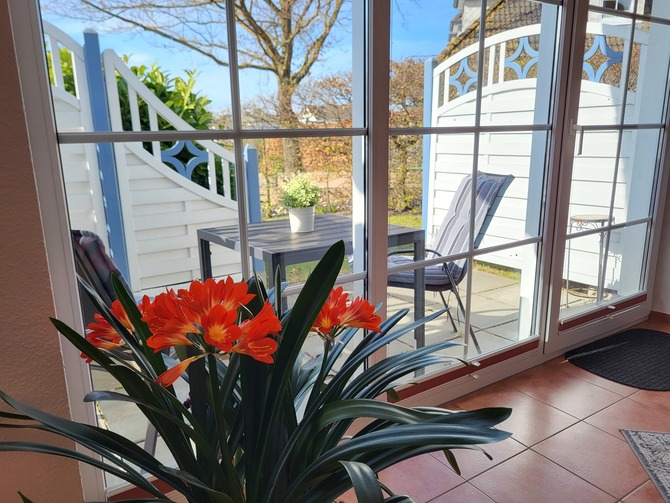Ferienwohnung in Koserow - Ferienwohnung Lena - Blick Terrasse