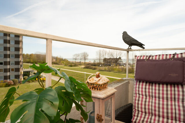 Ferienwohnung in Gr&ouml;mitz - Hanseat K&uuml;stenblick - Bild 12