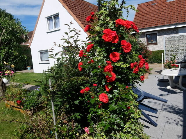 Ferienhaus in Kellenhusen - Haus Eifler - Bild 18