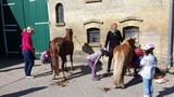 Ferienwohnung in Fehmarn OT Staberdorf - Bauernhaus 1 inkl. 1 Parkplatz - Bild 15