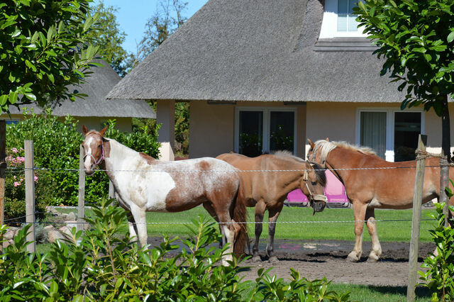 Ferienwohnung in Fehmarn OT Staberdorf - Bauernhaus 1 inkl. 1 Parkplatz - Bild 19