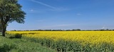 Ferienhaus in Fehmarn OT Vitzdorf - Martha - Bild 24