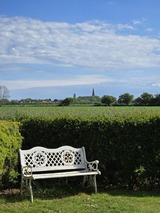 Ferienwohnung in Fehmarn OT Schlagsdorf - Ferienbauernhof Kruse Ferienwohnung Feldblick - Bild 21