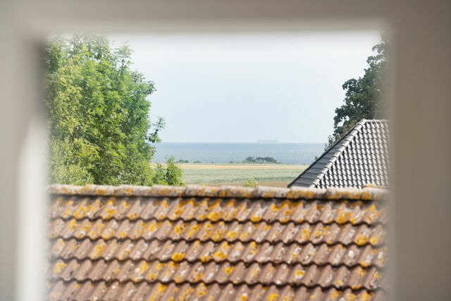 Ferienwohnung in Fehmarn OT Gahlendorf - Reiterhof Rickert Kornspeicher - Bild 22