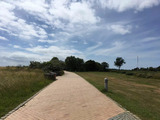 Ferienwohnung in Fehmarn OT Burgtiefe - Sea la Vie - Bild 20