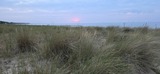 Ferienhaus in Zingst - Seewind, Schulstrasse 11 - Bild 7