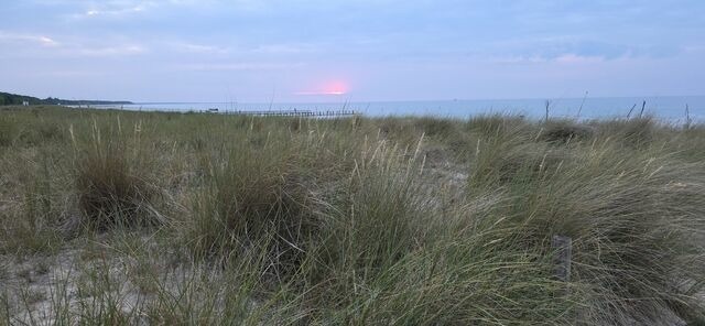 Ferienhaus in Zingst - Seewind, Schulstrasse 11 - Bild 7